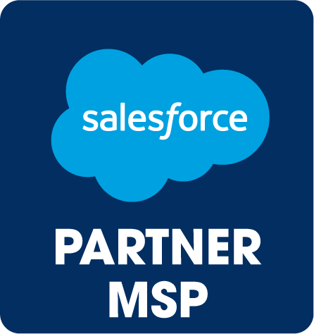 Salesforce Managed Services- Discovery